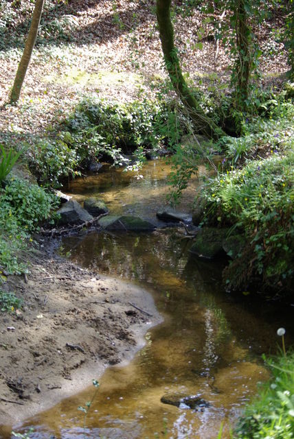 Les pierres du passage à gué