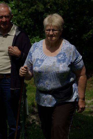 Petit patrimoine 2009 à Lanvellec