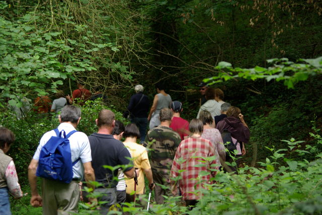 Petit patrimoine 2009 à Lanvellec