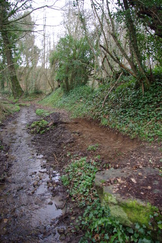 Matinée d'entretien du 14 mars 2009