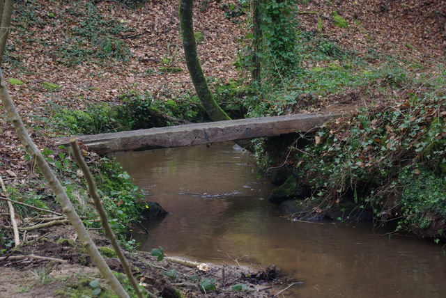 Matinée d'entretien du 14 mars 2009