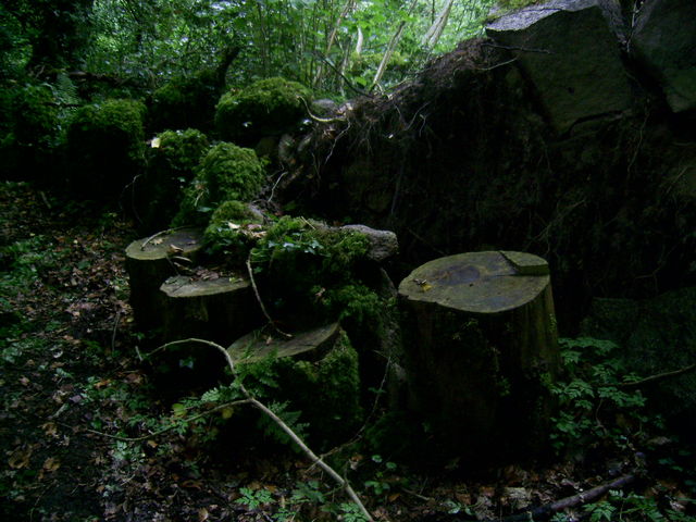 2011-06-19-petit-patrimoine-st-connay-019