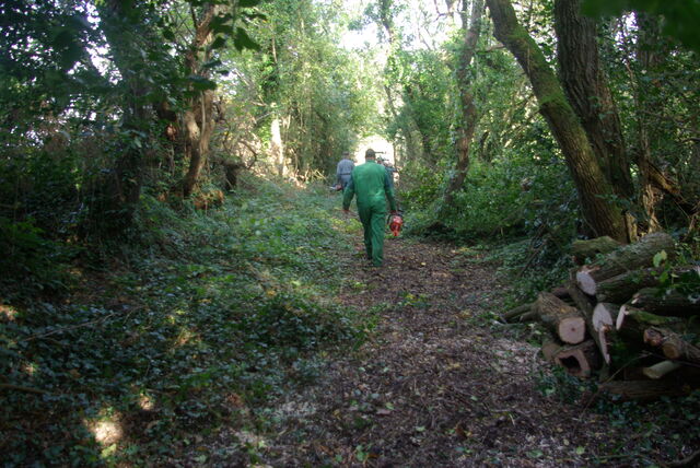 Nettoyage du chemin