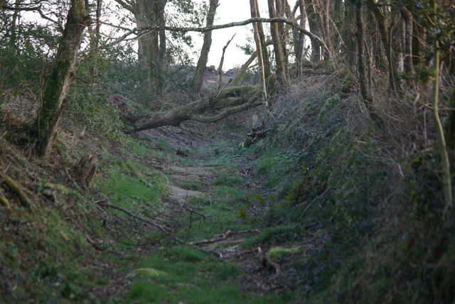 Etat des chemins