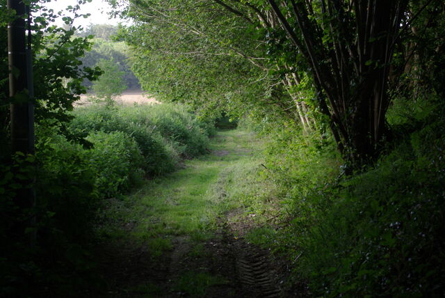 État des chemins