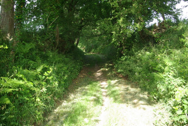 État des chemins