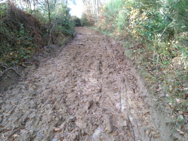 Kersalvy, de la boue suite aux travaux forestier