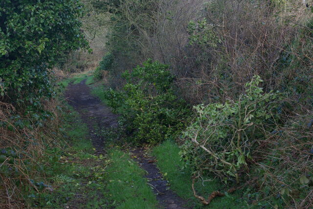 Etat chemins