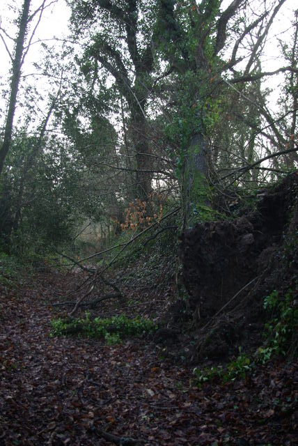 Etat chemins