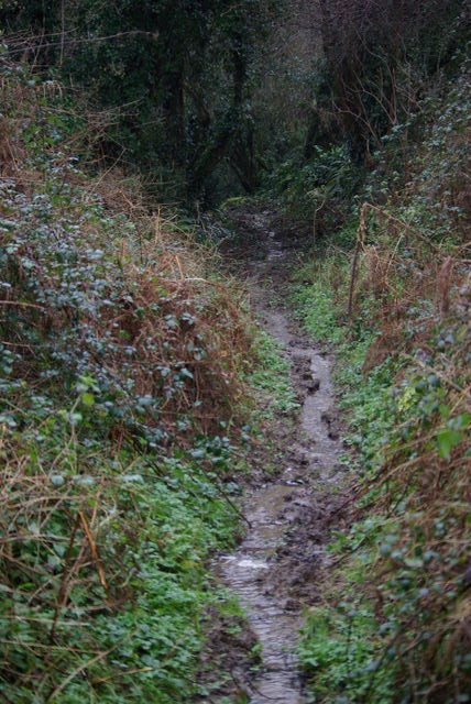 Guerdiouis, un ruisseau au milieu du chemin