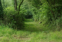 Entrée du chemin
