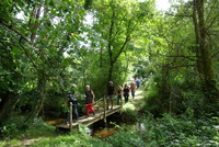 La passerelle de Riniero