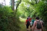 Le chemin de Run ar Manac'h