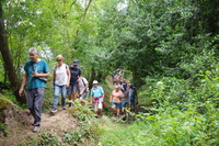 Passage d'un ruisseau