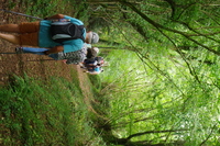 Chemin ombragé