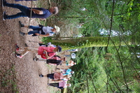 Dans les bois