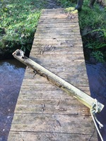 Passerelle de Riniero