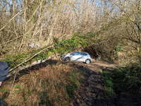 Arbre tombé au Run à St Goulven