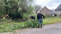 Taille des branches afin de les ranger plus facilement