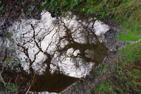 chemin de Goas Ninon