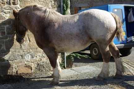 640x480-p20081011 150411