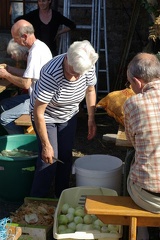 640x480-p20081011 150726