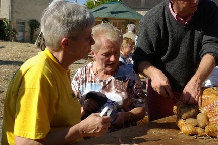 640x480-p20081011 150801