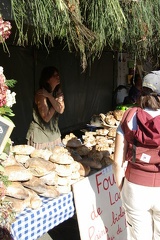 640x480-p20081011 151540