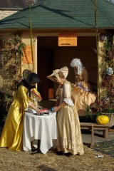 640x480-p20081012 111540