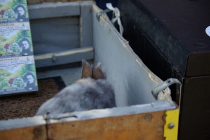 640x480-p20081012 114359