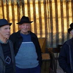 2010