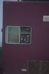 640x480-20121021 110201