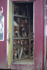 640x480-20121021 110728