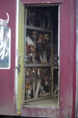 640x480-20121021 110730