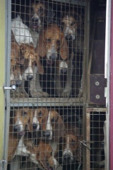 640x480-20121021 110731