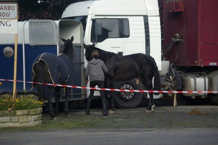 640x480-20121021 112417