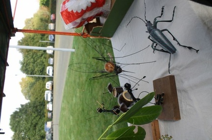 640x480-20121021 115112