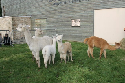 640x480-20121021 115320