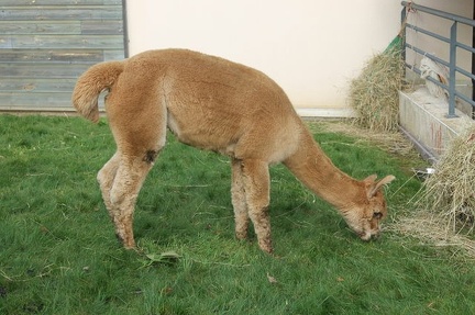 640x480-20121021 115329