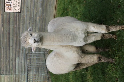 640x480-20121021 115342