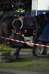 640x480-20121021 115703