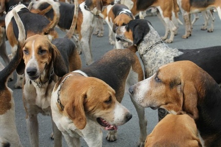 640x480-20121021 121653