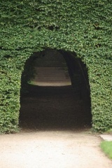 640x480-20140727 104634