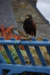 640x480-20141026 154335