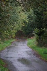 640x480-20141108 113922