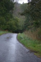 640x480-20141108 113932