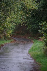 640x480-20141108 113941