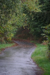 640x480-20141108 113942