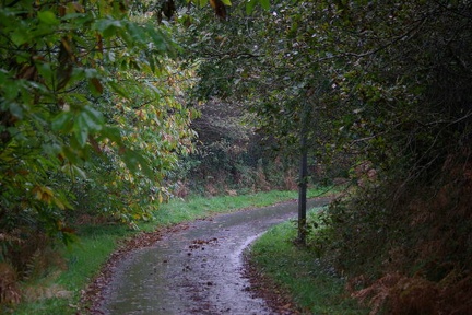 640x480-20141108 114053