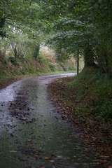 640x480-20141108 114322